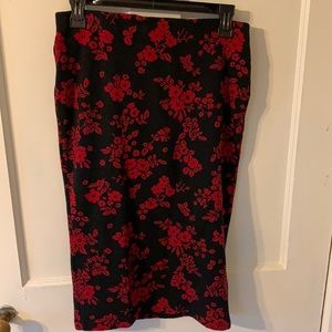 Zara Pencil Skirt